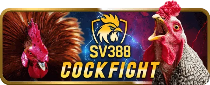 Minh họa dịch vụ hỗ trợ khách hàng 24/7 của 58vin Nổ Hũ